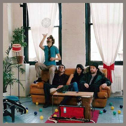 Guillemots